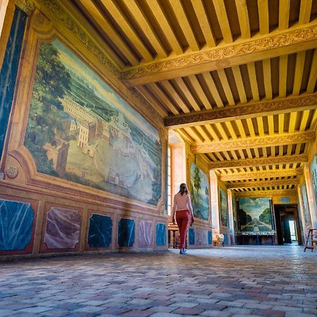 Chambres D'Hotes Au Chateau De Gizeux Bagian luar foto