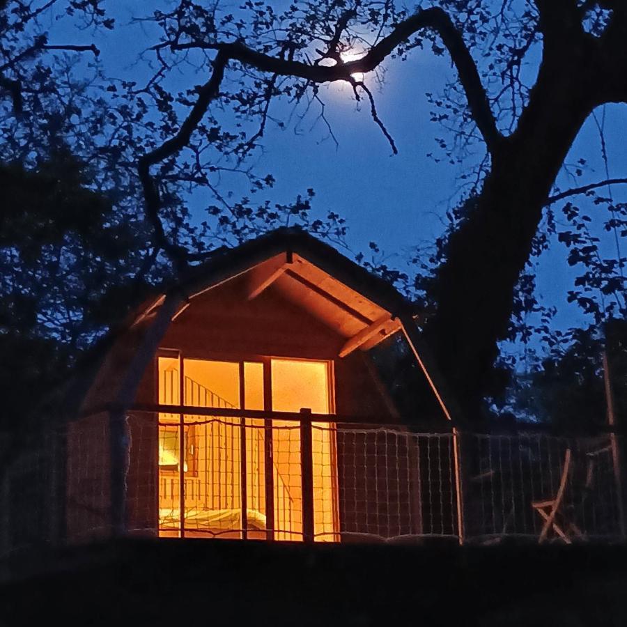 Chambres D'Hotes Au Chateau De Gizeux Bagian luar foto