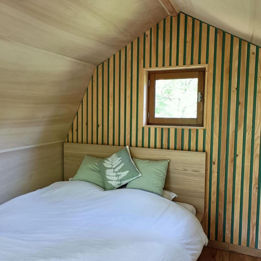 Chambres D'Hotes Au Chateau De Gizeux Bagian luar foto
